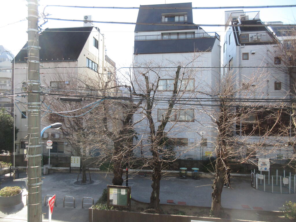 眺望　目の前には公園があります。