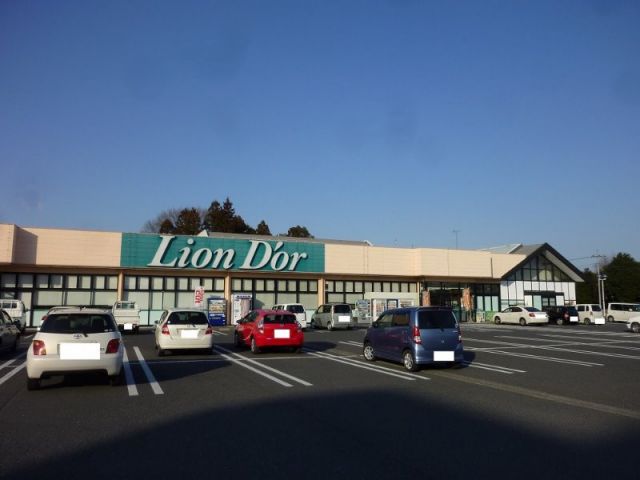 スーパー　リオン・ドール高根沢店（スーパー）まで288m