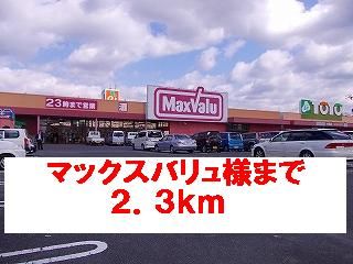 ショッピングセンター　マックスバリュ様（ショッピングセンター）まで2300m