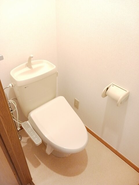 ＪＲ徳島線 石井駅 徒歩66分 2階建 築29年のトイレ写真