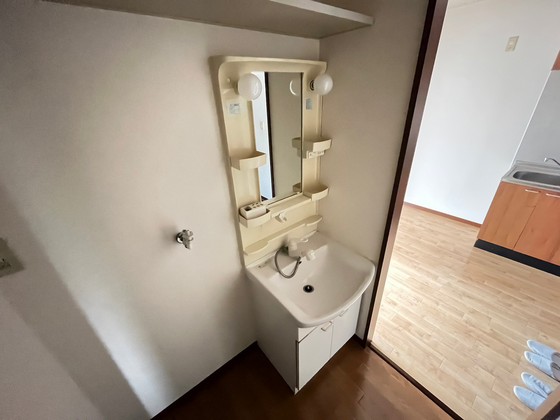 洗面設備　※別部屋の写真です