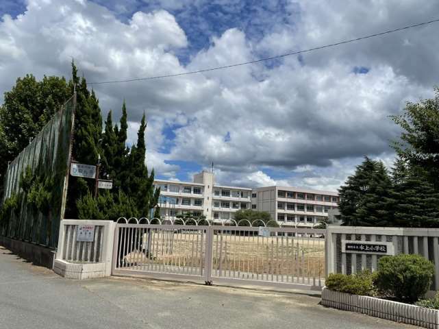 小学校　水上小学校（小学校）まで1262m