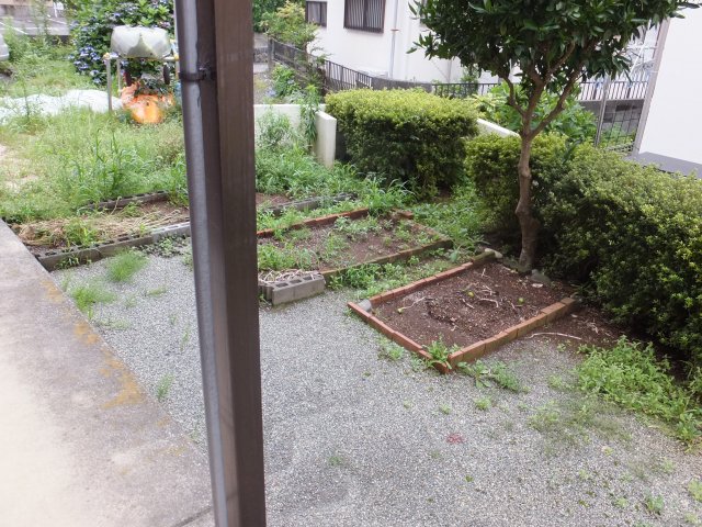 庭