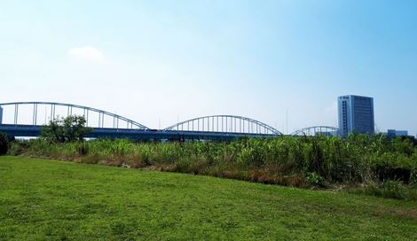 公園　多摩川大橋緑地（公園）まで1478m