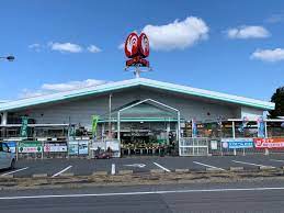 ホームセンター　コメリハード＆グリーン甲南店（ホームセンター）まで1104m