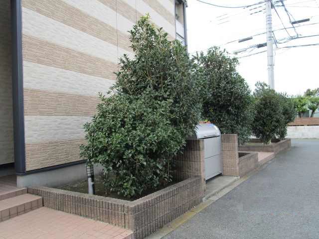 庭