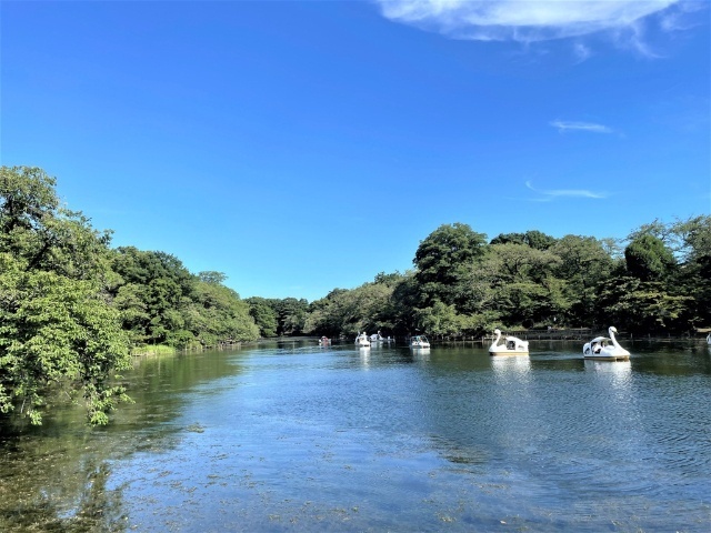 公園　井の頭恩賜公園（公園）まで1520m