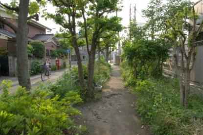 公園　小島新田緑道（公園）まで214m