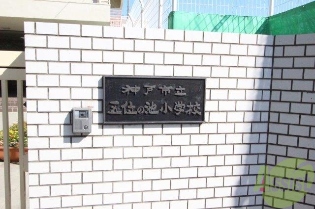 小学校　神戸市立五位の池小学校（小学校）まで175m