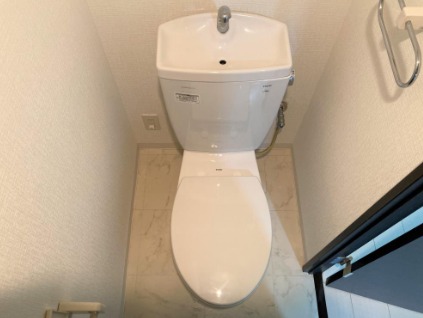 ブリーズドゥースのトイレ写真