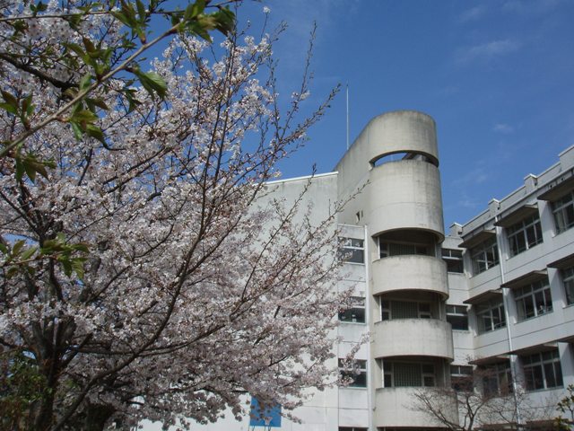 中学校　富田林市立喜志中学校（中学校）まで985m