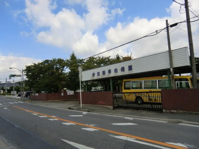 【野田市山崎のアパートの幼稚園・保育園】