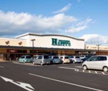 スーパー　ハピーズ円山店（スーパー）まで711m