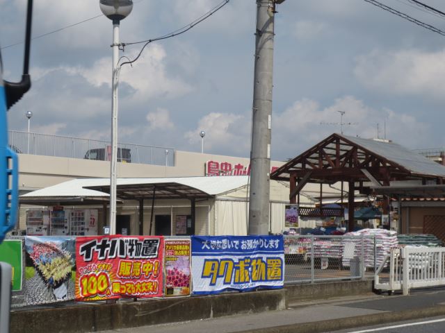 ホームセンター　島忠ホームセンター（ホームセンター）まで590m