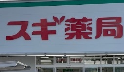 ドラックストア　スギ薬局つくば天久保店（ドラッグストア）まで810m
