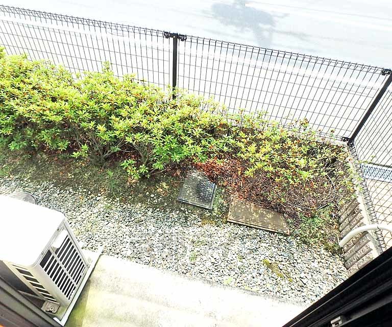 バルコニー　１階ベランダです