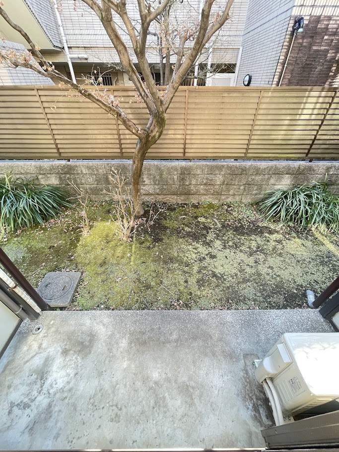 カーサ安藤のその他写真