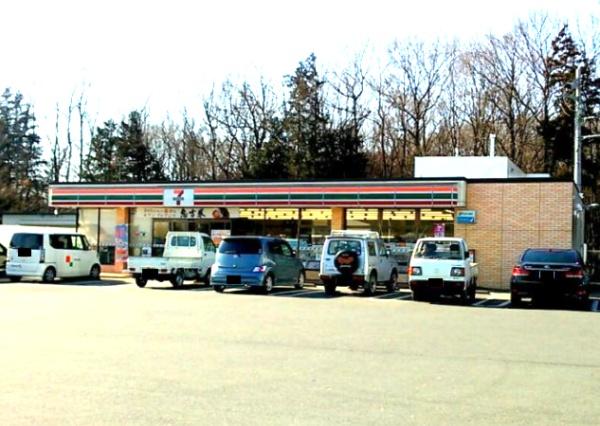 コンビニ　セブンイレブン宇都宮下栗新4号南店（コンビニ）まで1053m