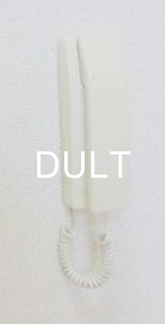 セキュリティ　インターホンです。