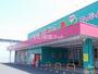 ドラックストア　ディスカウントドラッグコスモス清武店（ドラッグストア）まで1851m