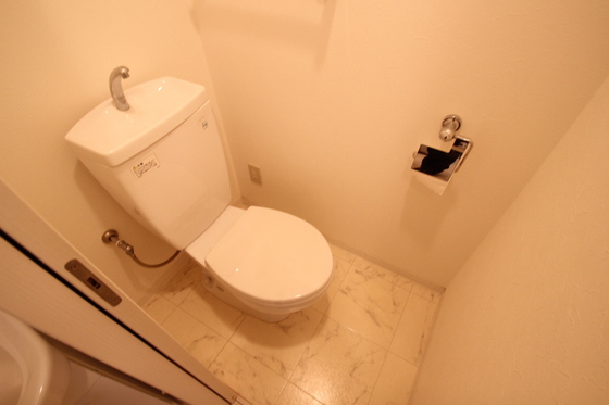 トイレ　※別号室の写真です。