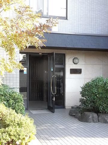 庭　エントランス周辺です
