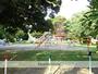 公園　大蒲公園（公園）まで542m