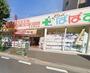 ドラックストア　どらっぐぱぱす王子神谷店（ドラッグストア）まで683m