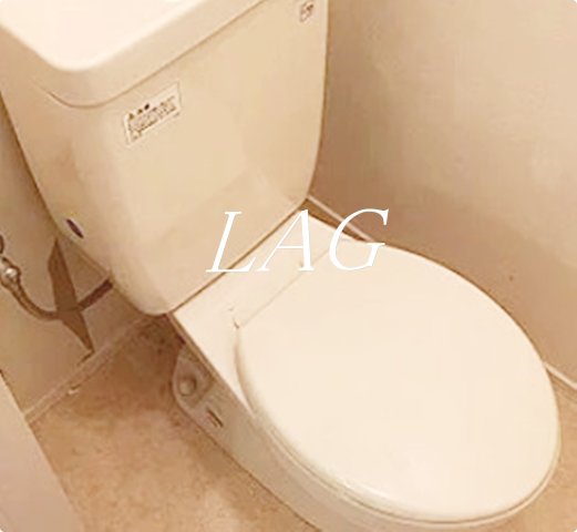 トイレ　トイレです。