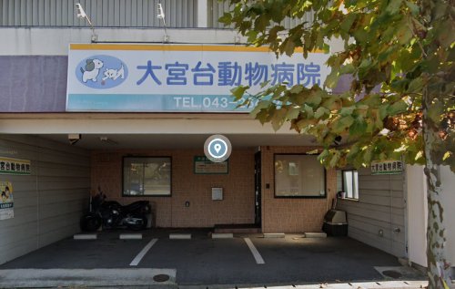 病院　大宮台動物病院（病院）まで393m