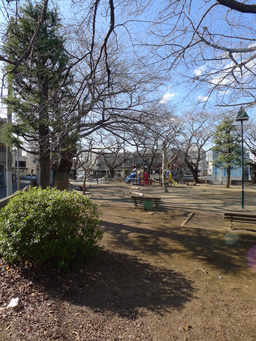 公園　公園（公園）まで50m