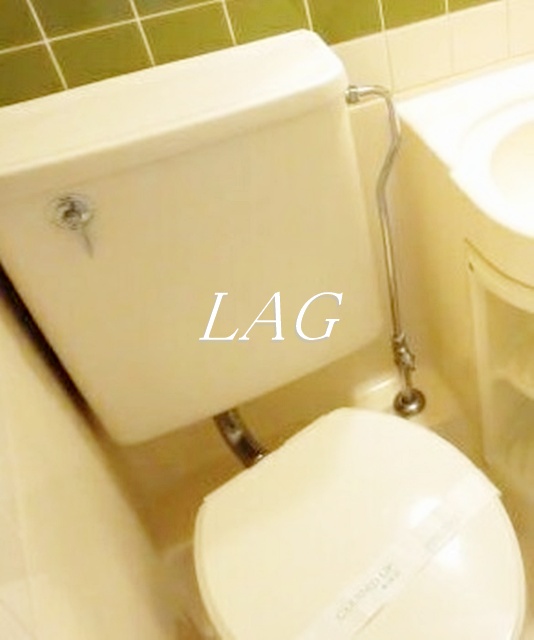 トイレ　トイレです。