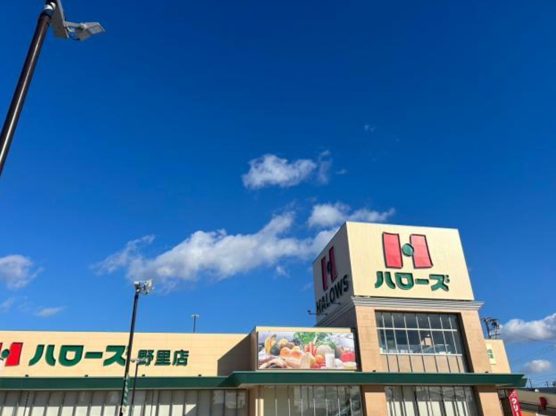 スーパー　ハローズ 野里店（スーパー）まで1293m