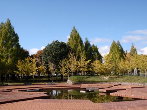 公園　鳥屋近隣公園（公園）まで418m