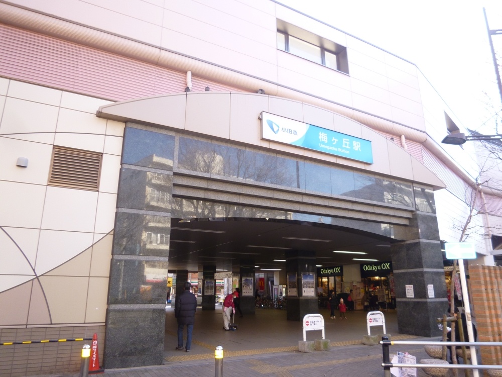 その他　梅ヶ丘駅（その他）まで566m