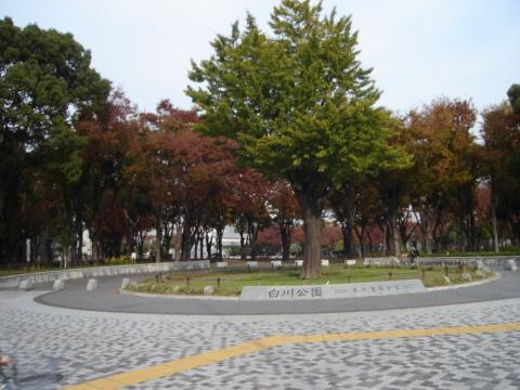 その他　白川公園（その他）まで10m