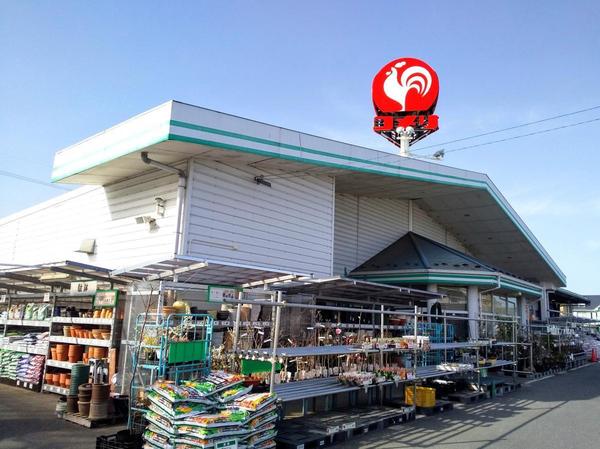 ホームセンター　コメリハード＆グリーン中主店（ホームセンター）まで211m