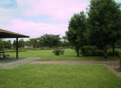 公園　世田谷区立きたみふれあい広場（公園）まで1655m