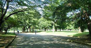 公園　稲荷山公園（公園）まで938m