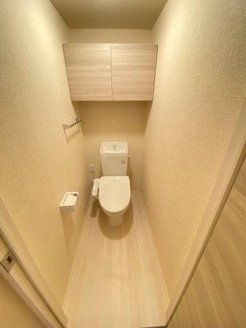 ＪＲ内房線 浜野駅 徒歩24分 3階建 築2年のトイレ写真