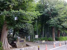 公園　すずめのお宿緑地公園（公園）まで721m