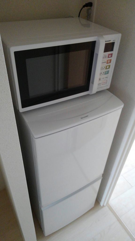 レオパレスピーヌスのその他写真