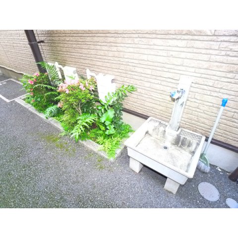 庭