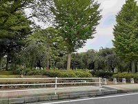 公園　吉羽公園（公園）まで450m