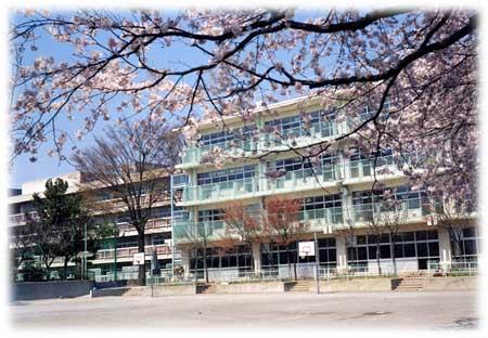 小学校　武蔵野市立 境南小学校（小学校）まで746m