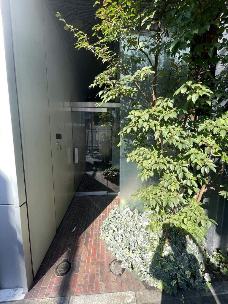 庭　庭