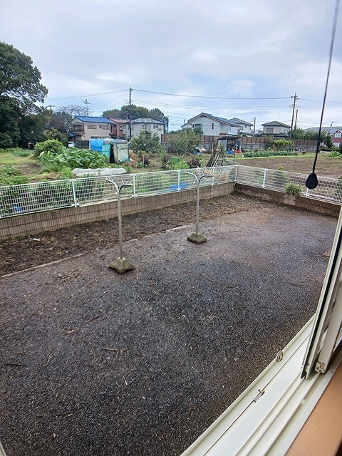 庭