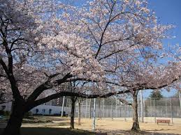 公園　浦江公園（公園）まで490m