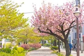 公園　北沢川緑道（公園）まで692m