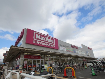 ショッピングセンター　イオンタウン淀川三国（ショッピングセンター）まで411m